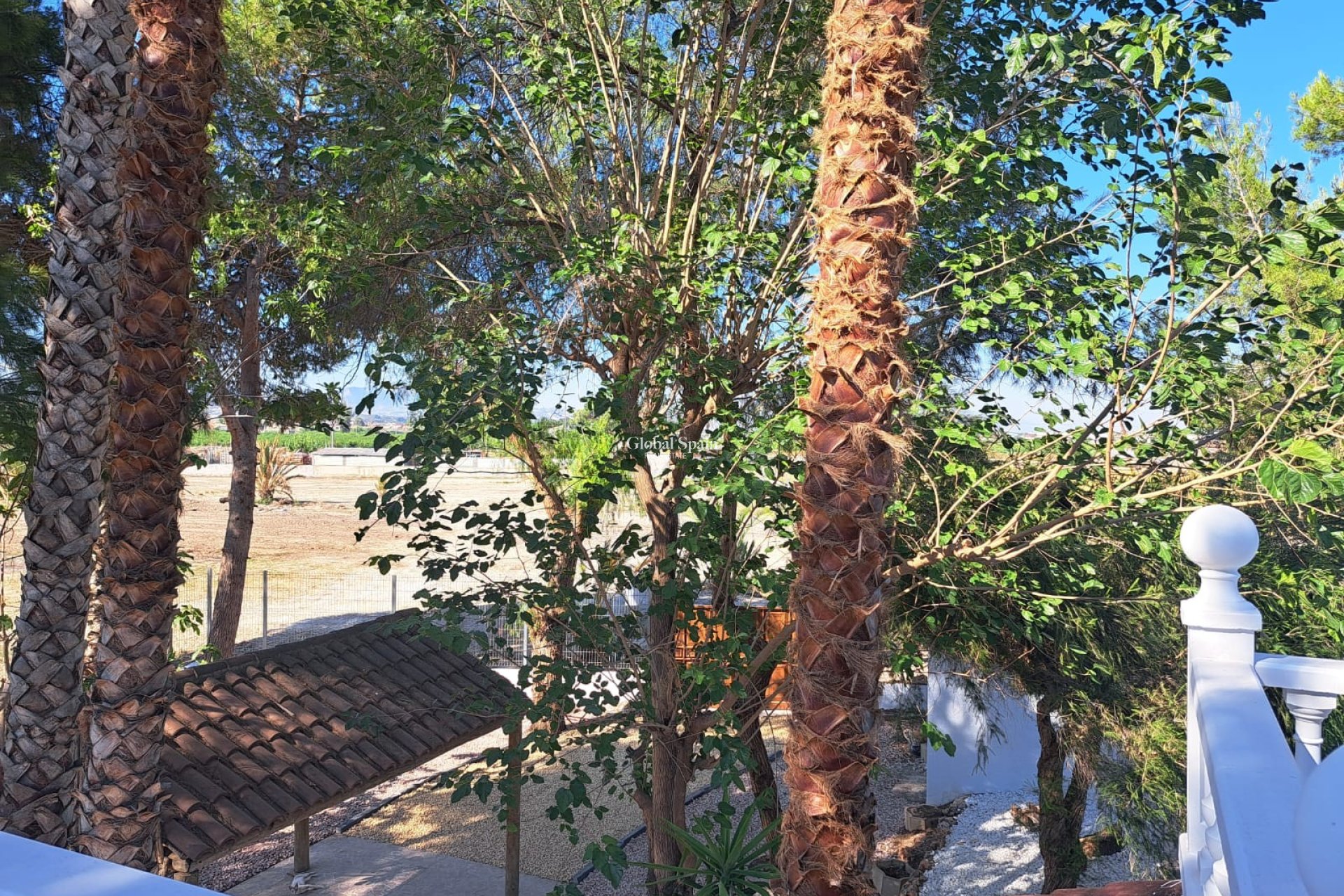 Resale - Country Property/Finca -
ORIHUELA - Orihuela