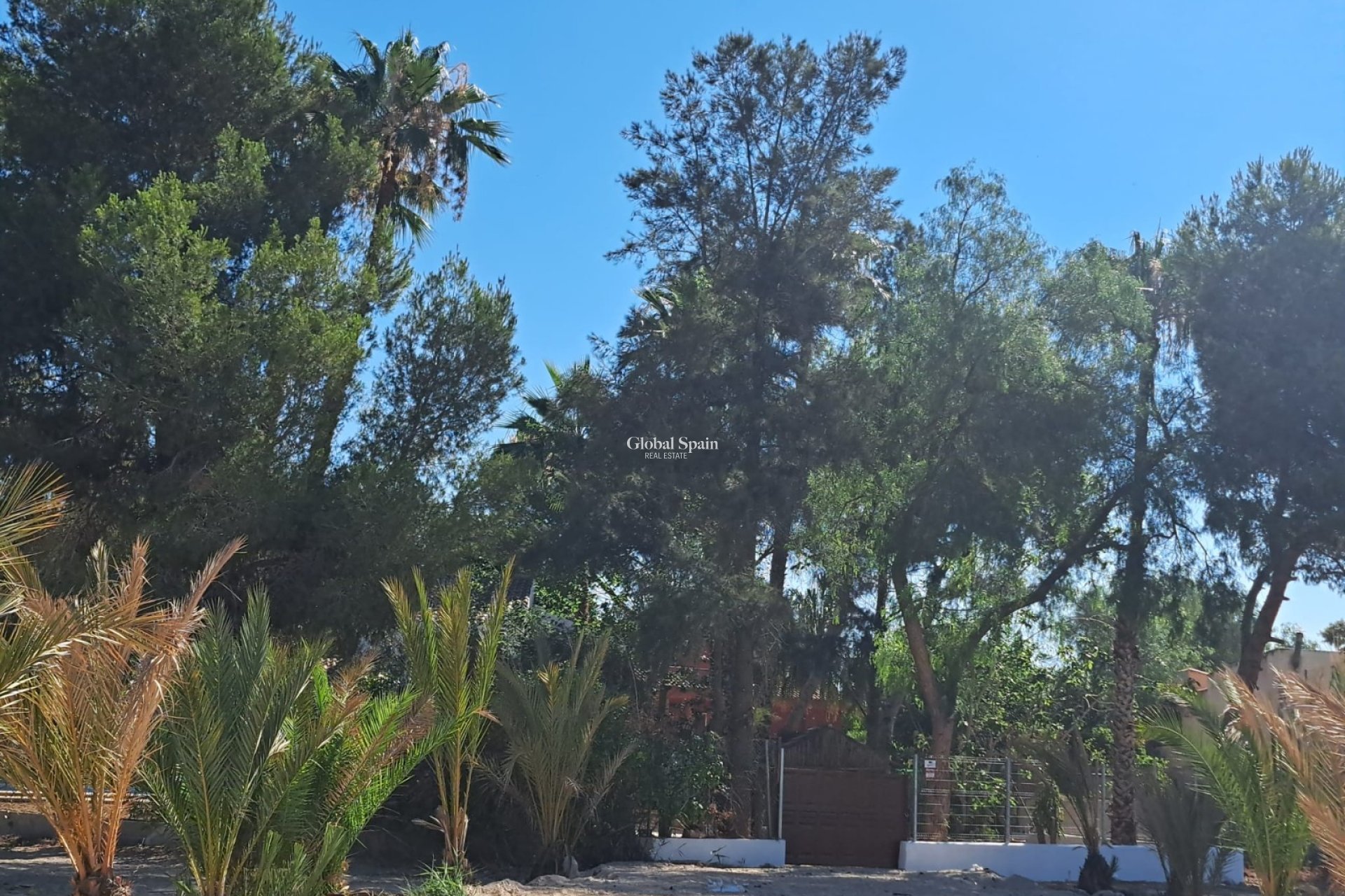 Resale - Country Property/Finca -
ORIHUELA