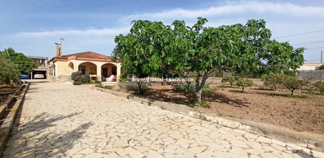 Resale - Country Property/Finca - San Vicente del Raspeig