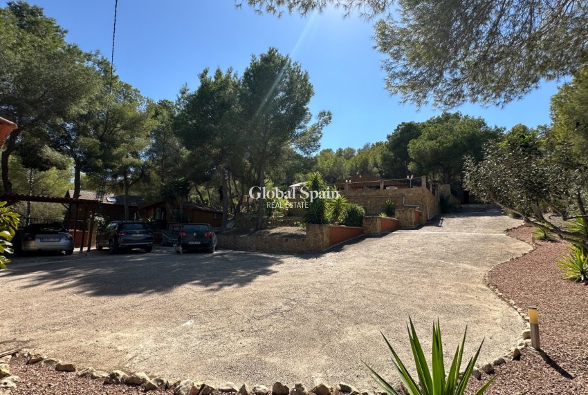 Resale - Finca / Country House -
SAN MIGUEL DE SALINAS - Costa Blanca Sur