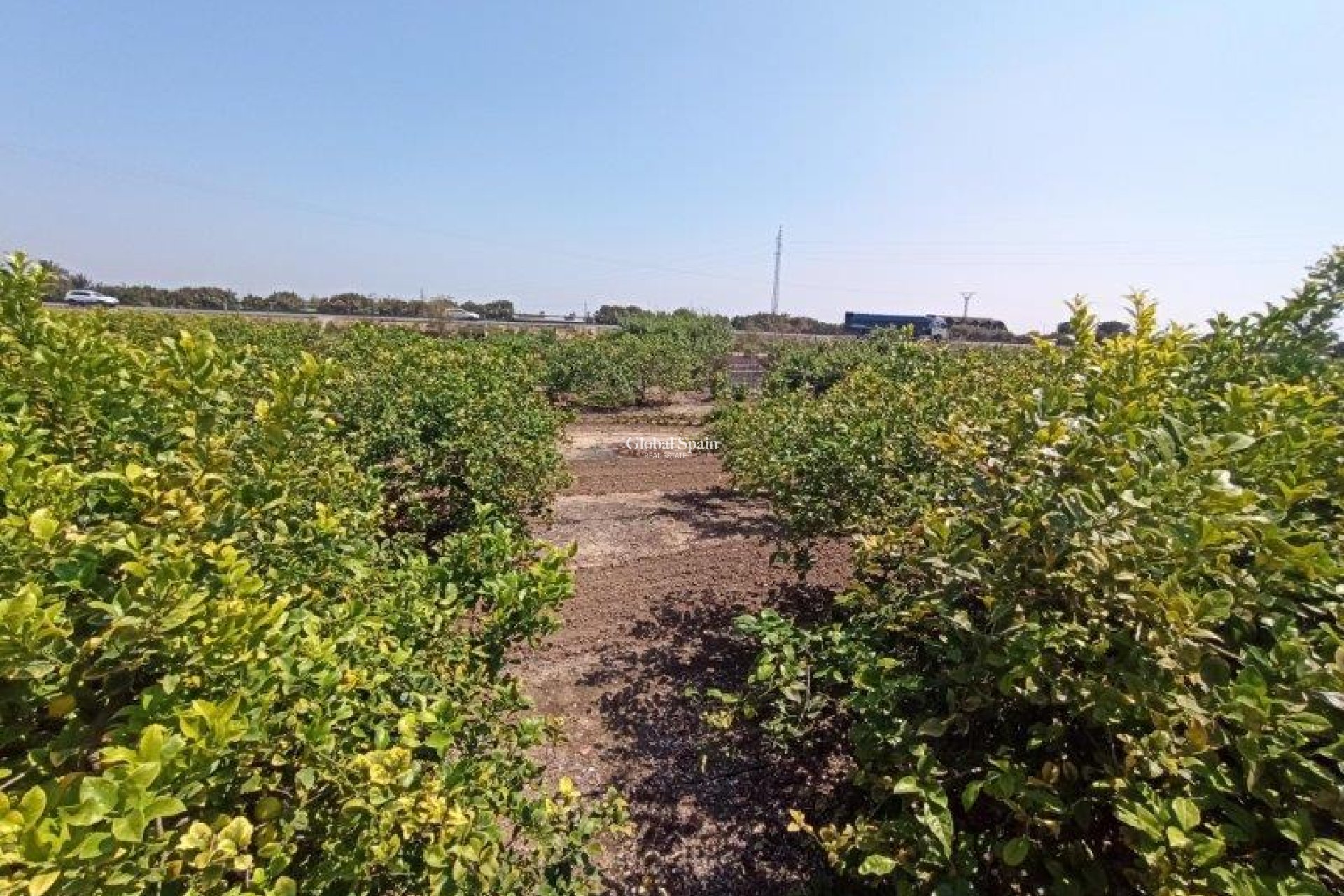 Resale - Finca Country Property -
SAN MIGUEL DE SALINAS - San Miguel de Salinas