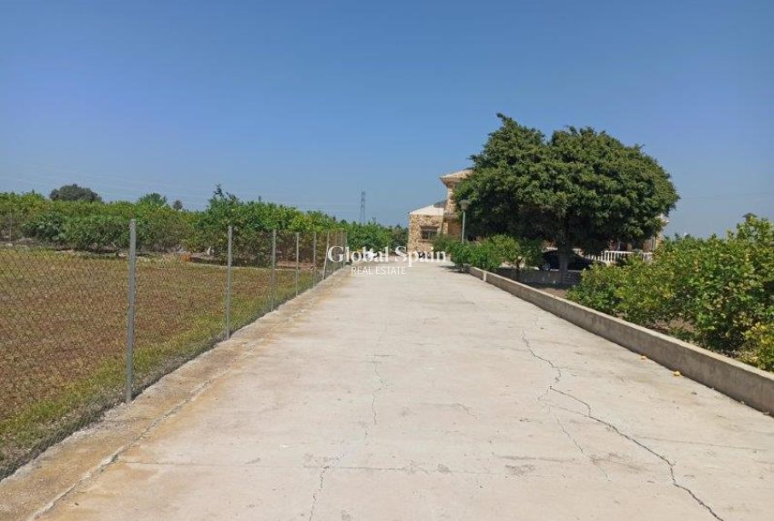 Resale - Finca Country Property -
SAN MIGUEL DE SALINAS - San Miguel de Salinas