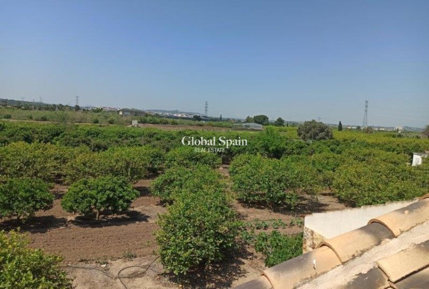 Resale - Finca Country Property -
SAN MIGUEL DE SALINAS - San Miguel de Salinas