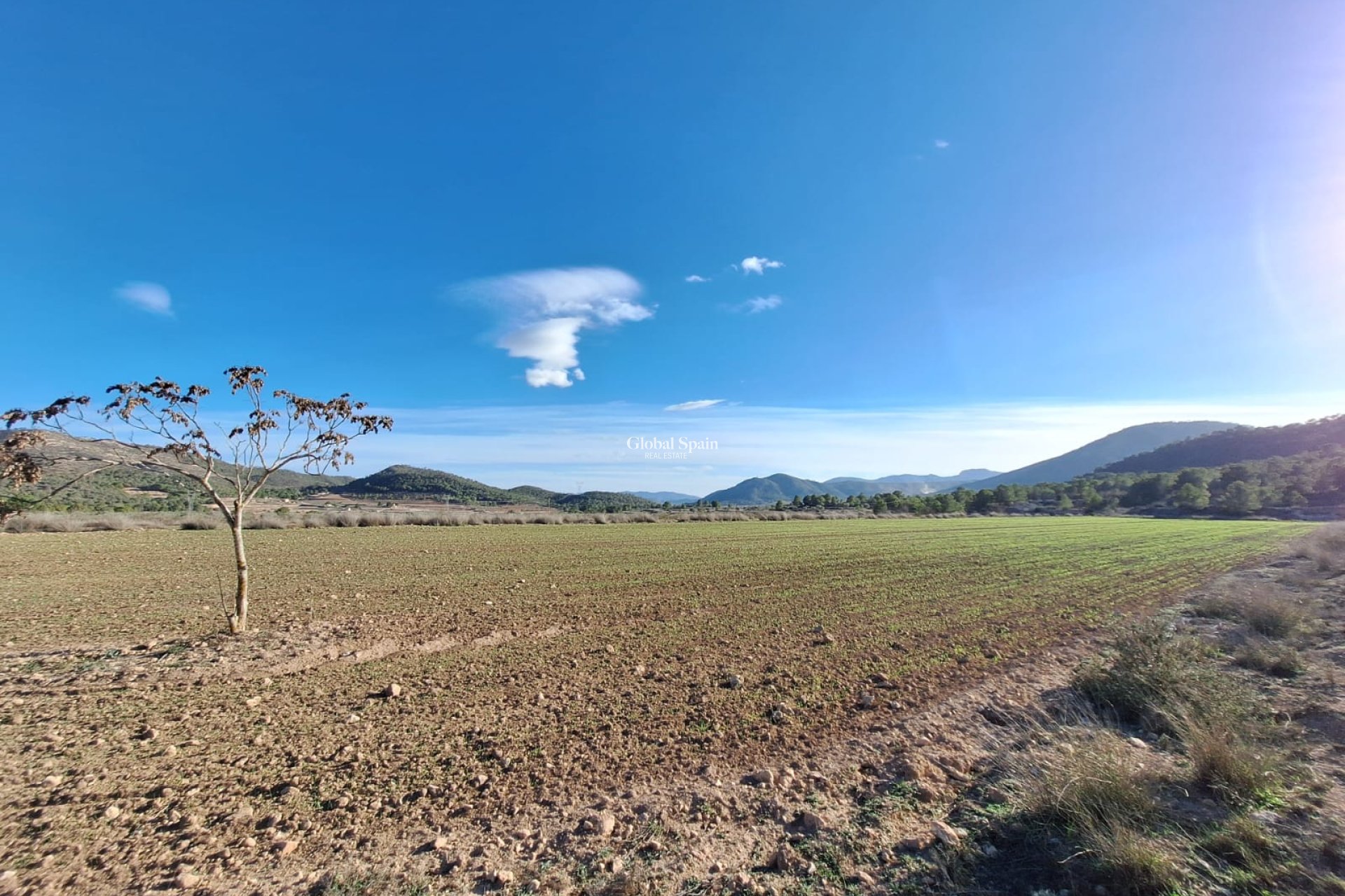 Resale - Grond -
Monovar