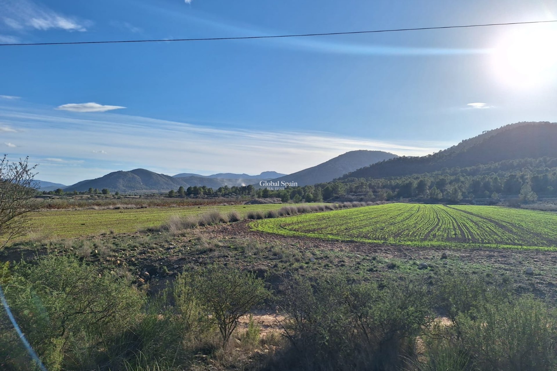 Resale - Grond -
Monovar