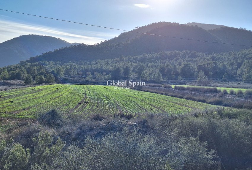 Resale - Grond -
Monovar