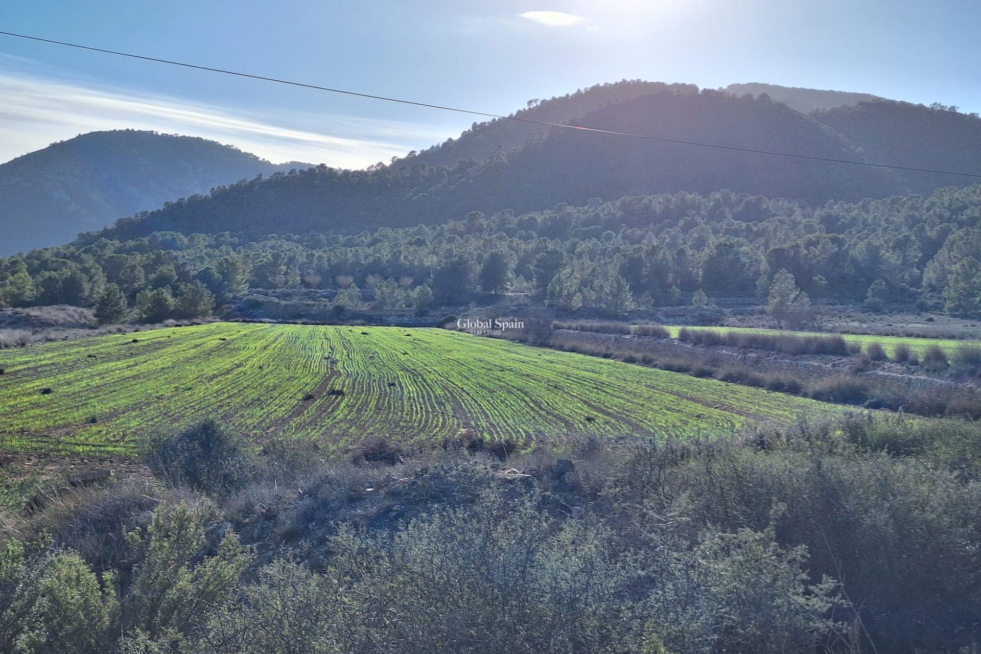 Resale - Grond -
Monovar