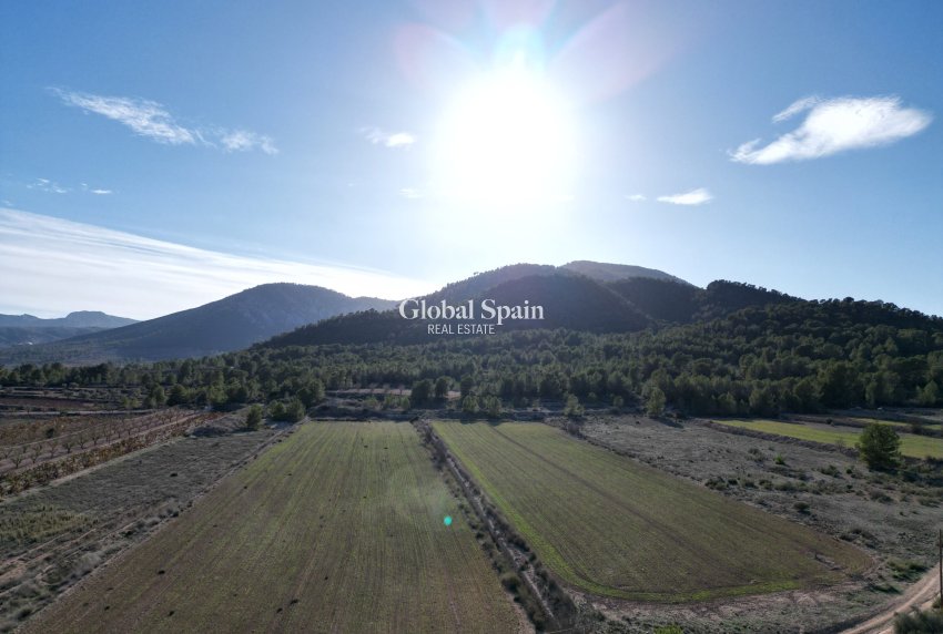 Resale - Grond -
Monovar