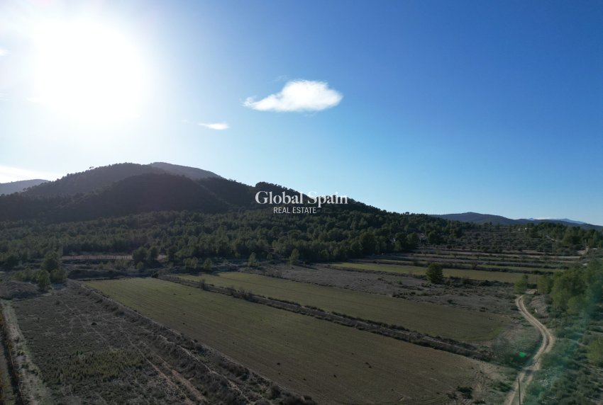 Resale - Grond -
Monovar