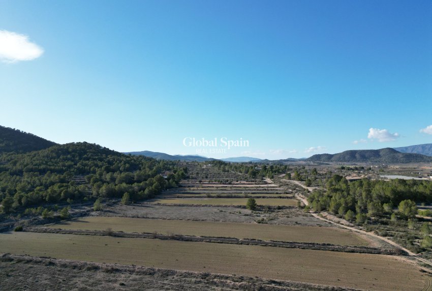 Resale - Grond -
Monovar