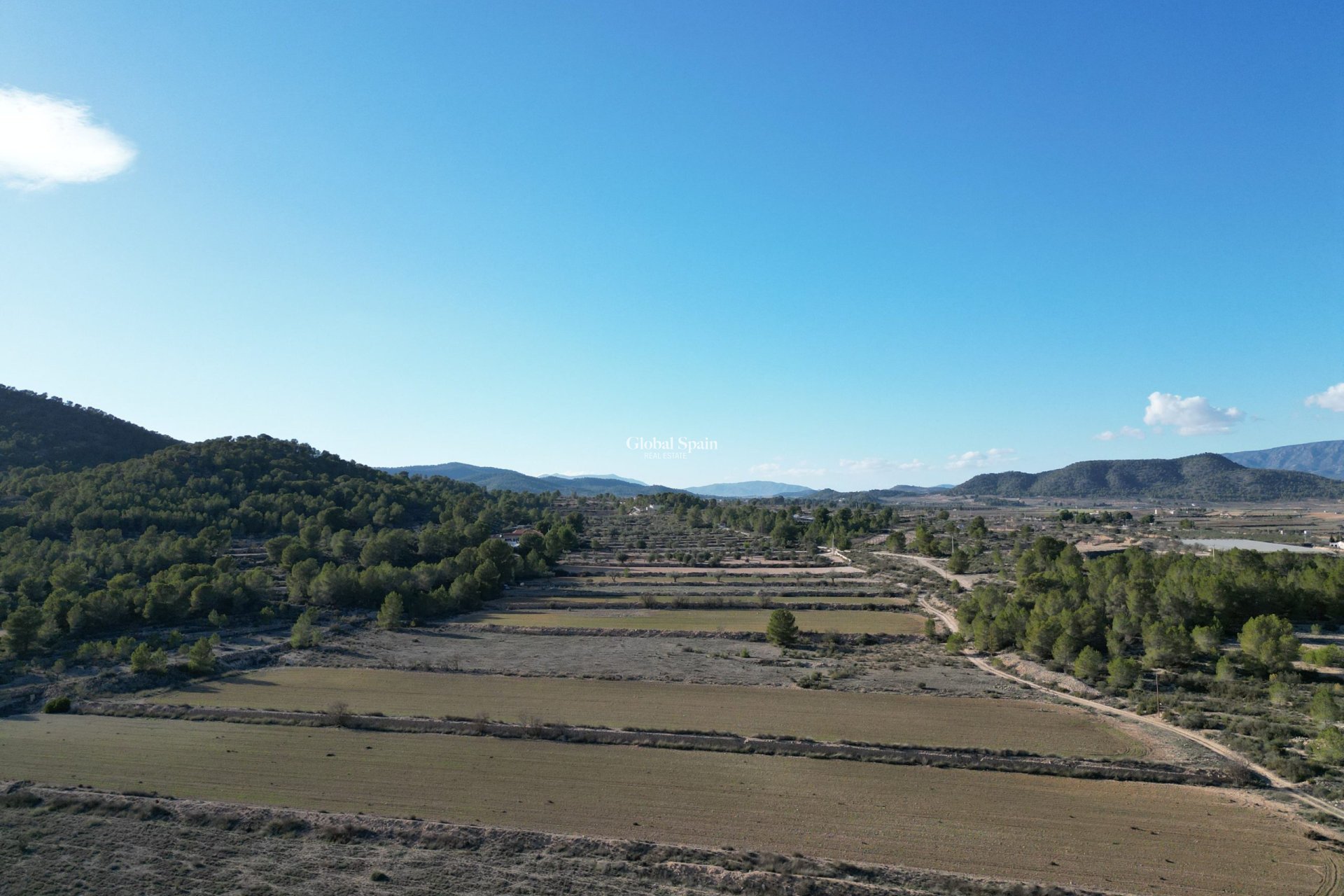 Resale - Grond -
Monovar