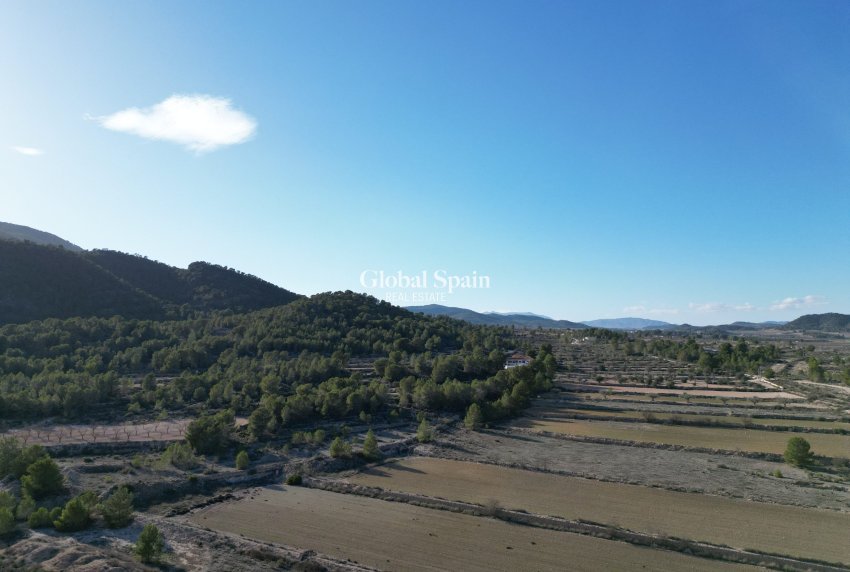 Resale - Grond -
Monovar