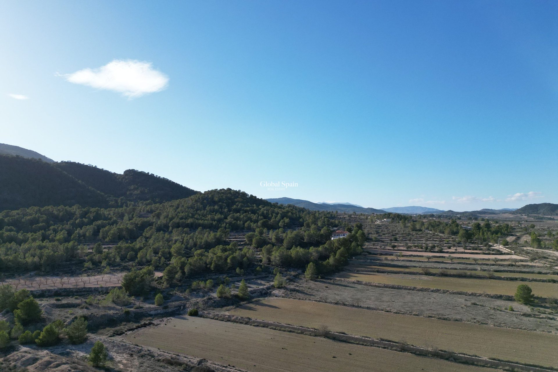 Resale - Grond -
Monovar