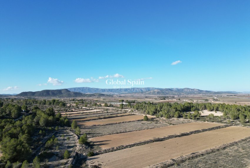 Resale - Grond -
Monovar