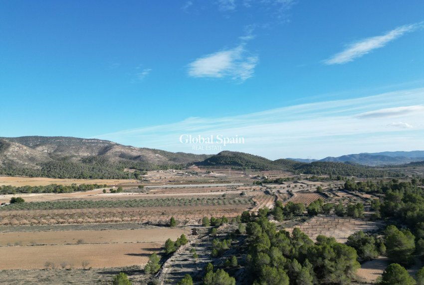 Resale - Grond -
Monovar