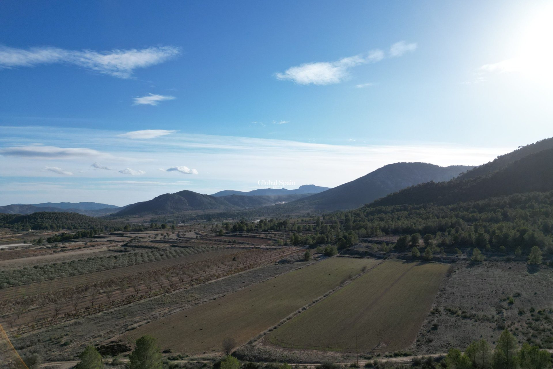 Resale - Grond -
Monovar