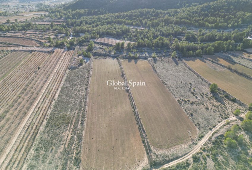 Resale - Grond -
Monovar