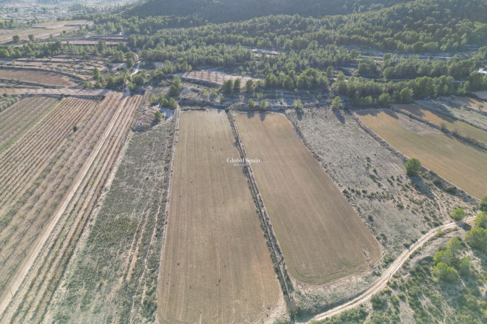 Resale - Grond -
Monovar