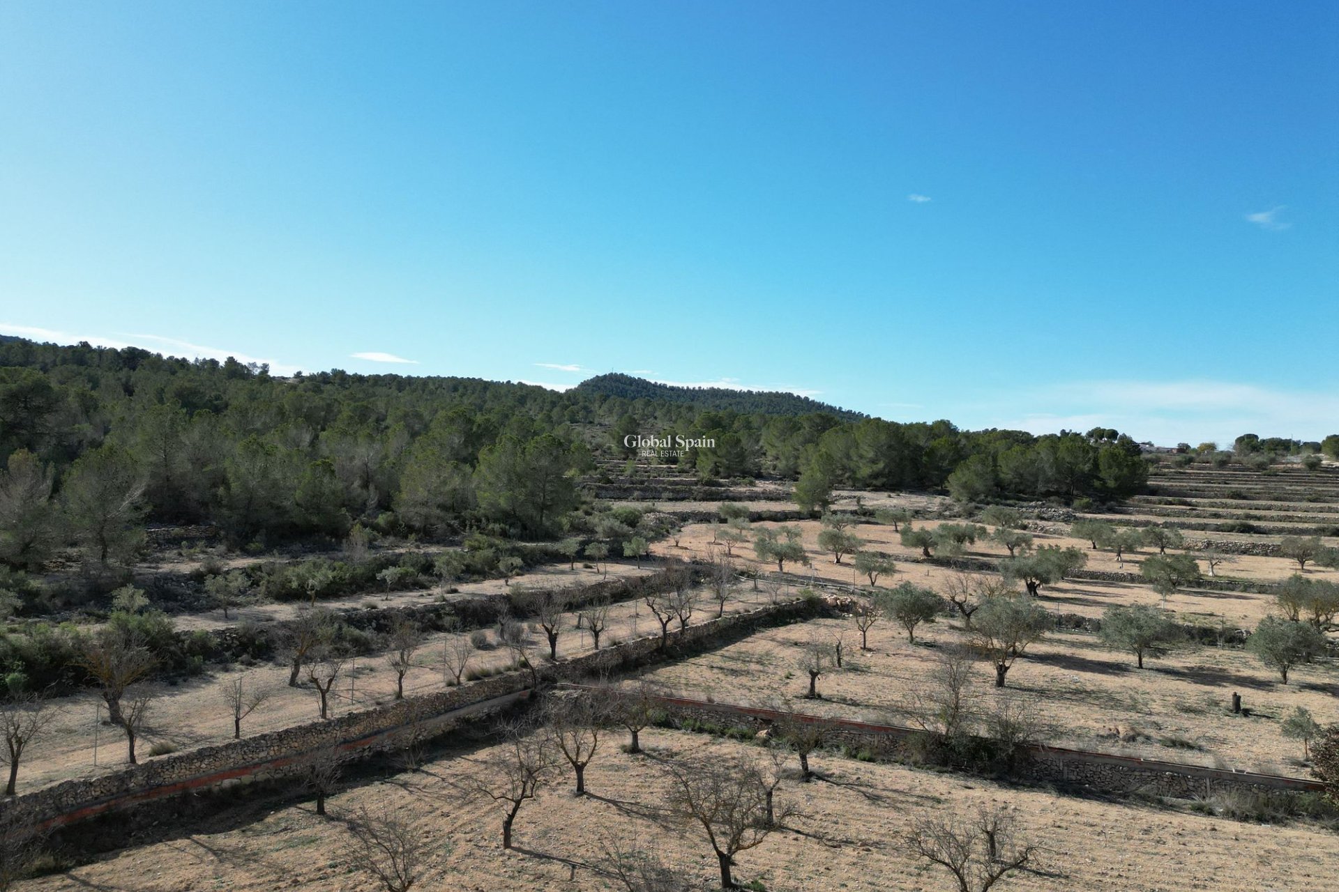 Resale - Grond -
Monovar