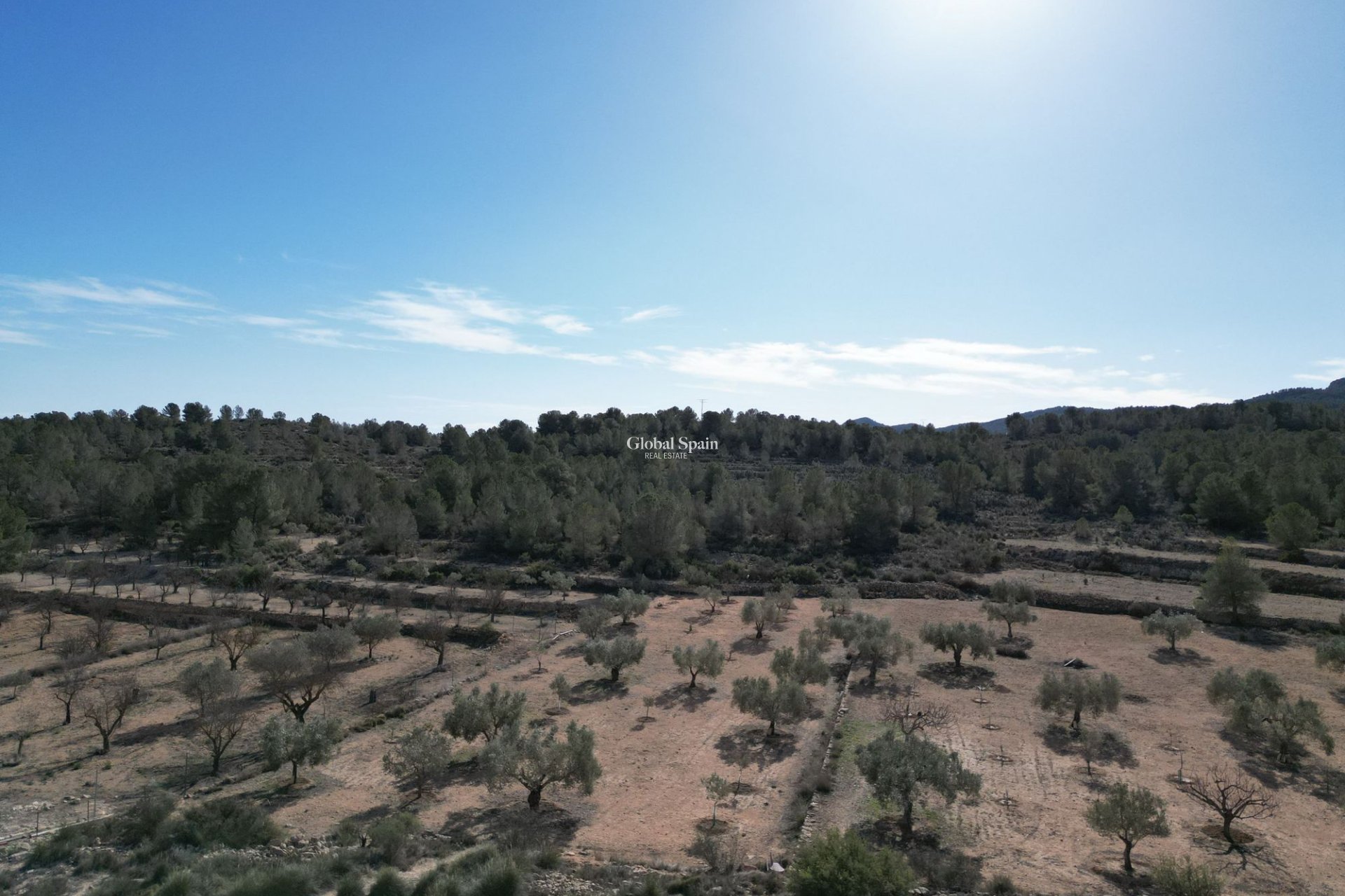 Resale - Grond -
Monovar