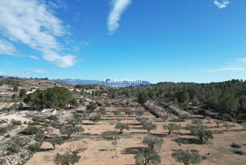 Resale - Grond -
Monovar