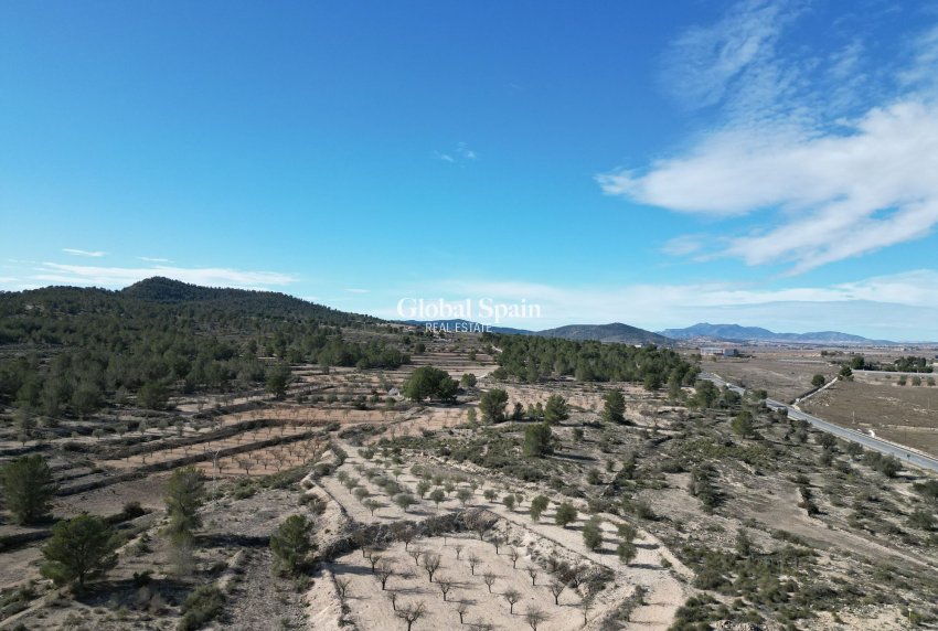 Resale - Grond -
Monovar