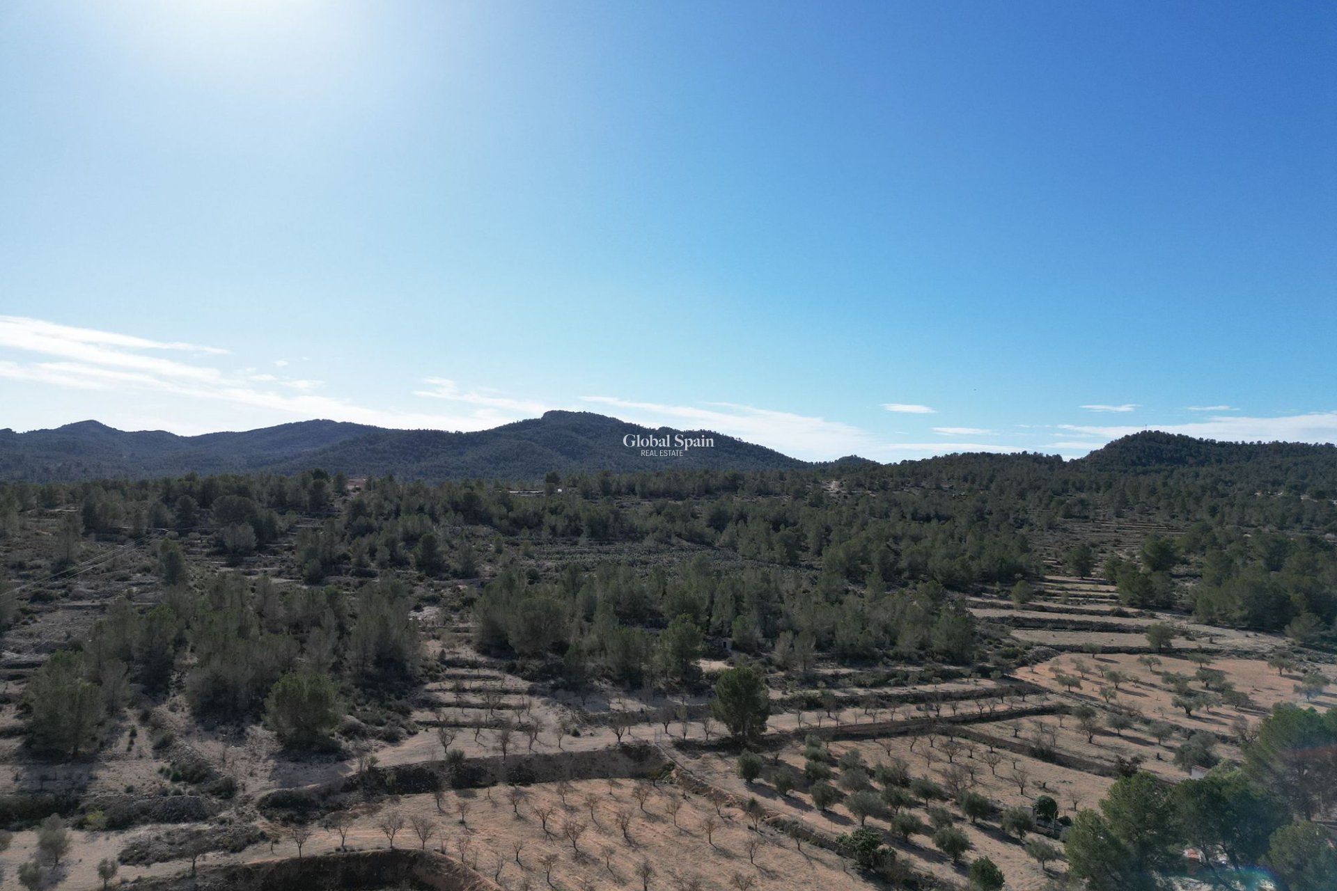 Resale - Grond -
Monovar