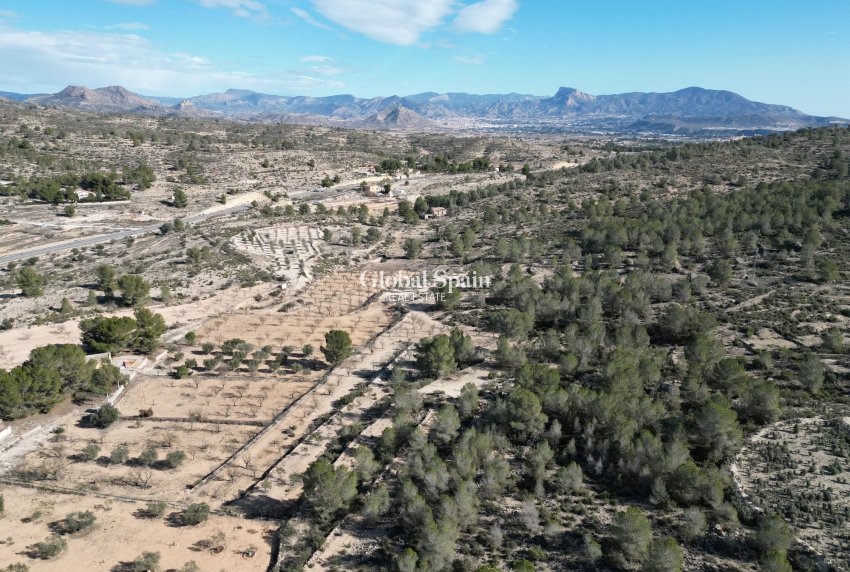 Resale - Grond -
Monovar