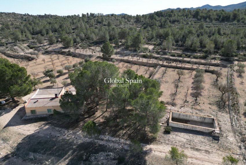 Resale - Grond -
Monovar