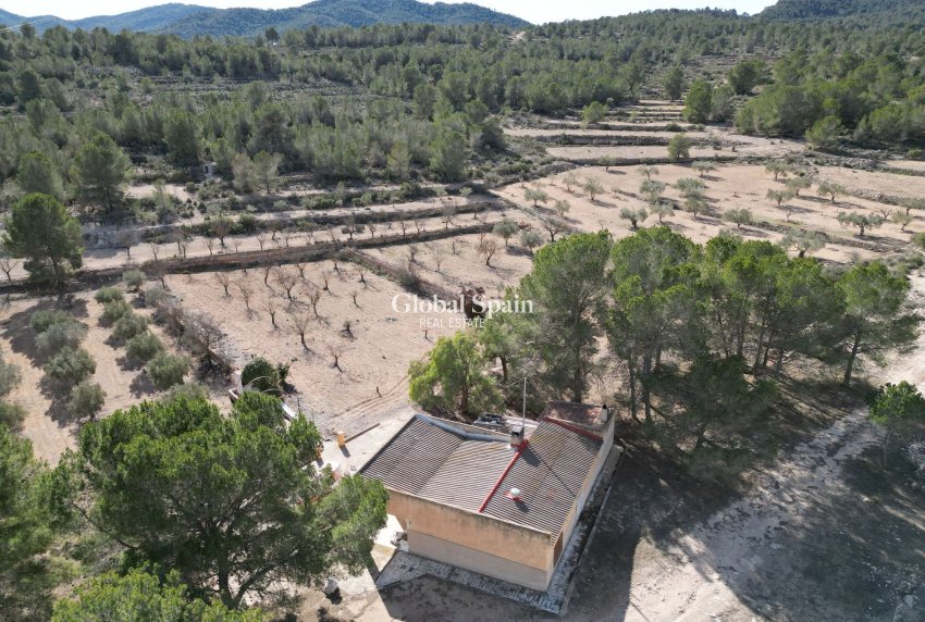 Resale - Grond -
Monovar