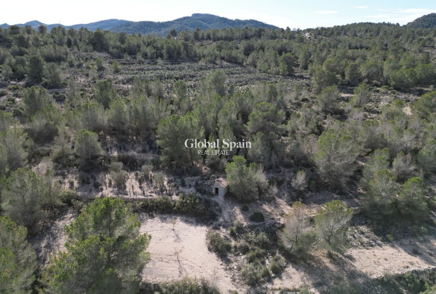 Resale - Grond -
Monovar