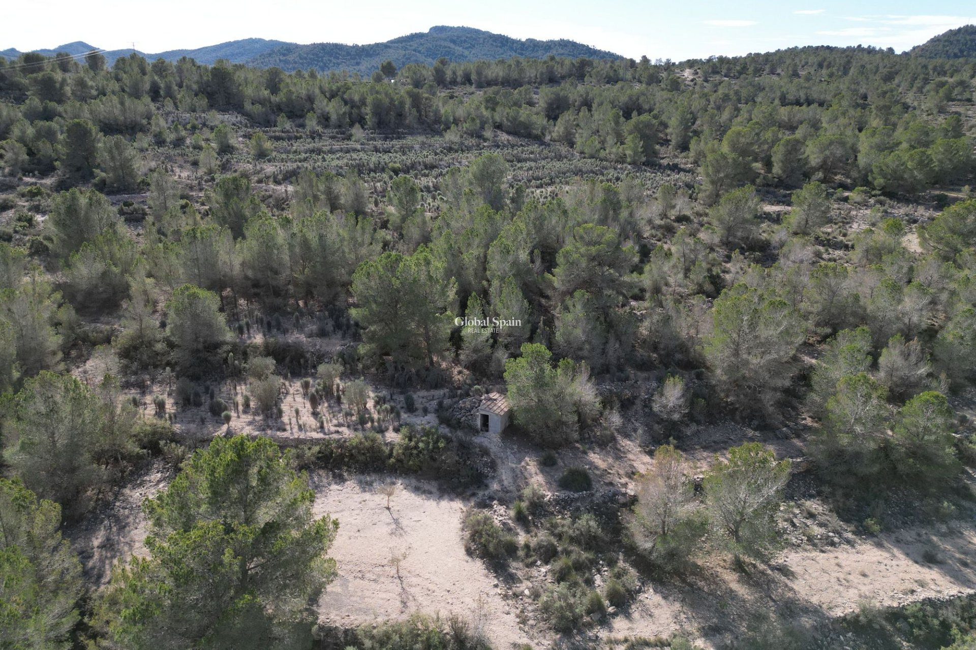 Resale - Grond -
Monovar