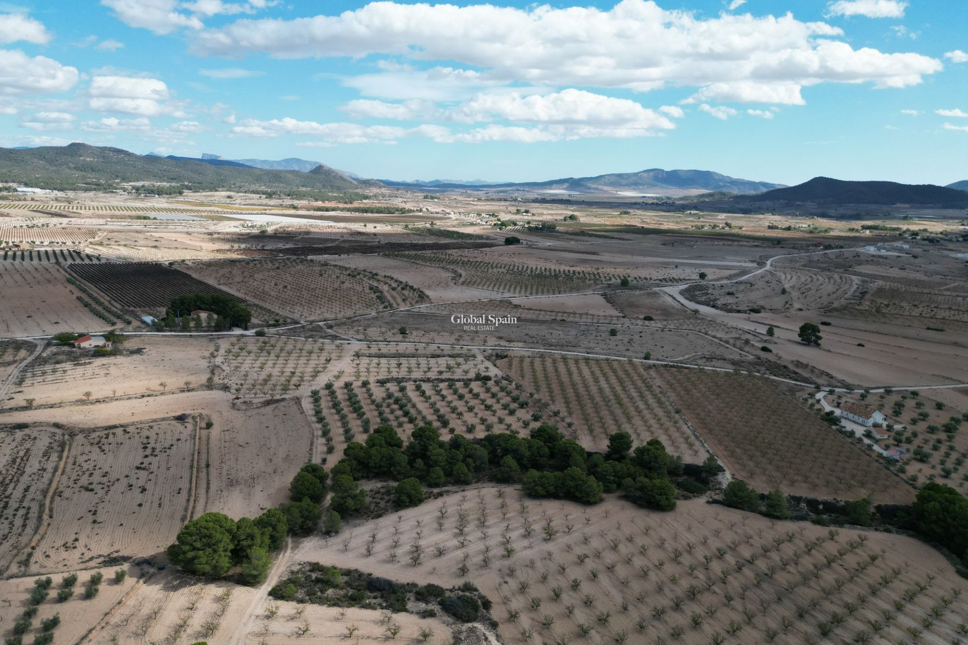 Resale - Grond -
Pinoso