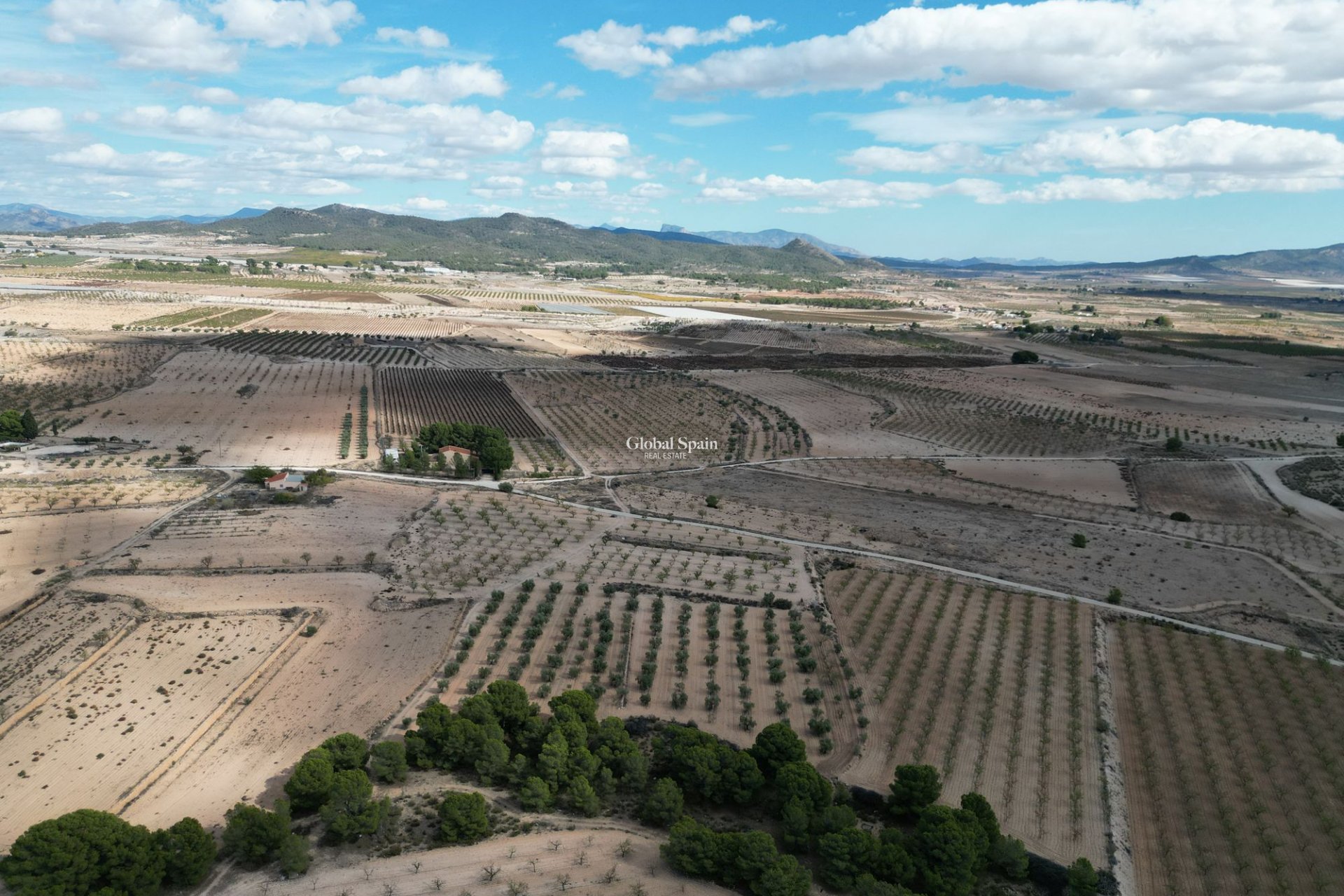 Resale - Grond -
Pinoso