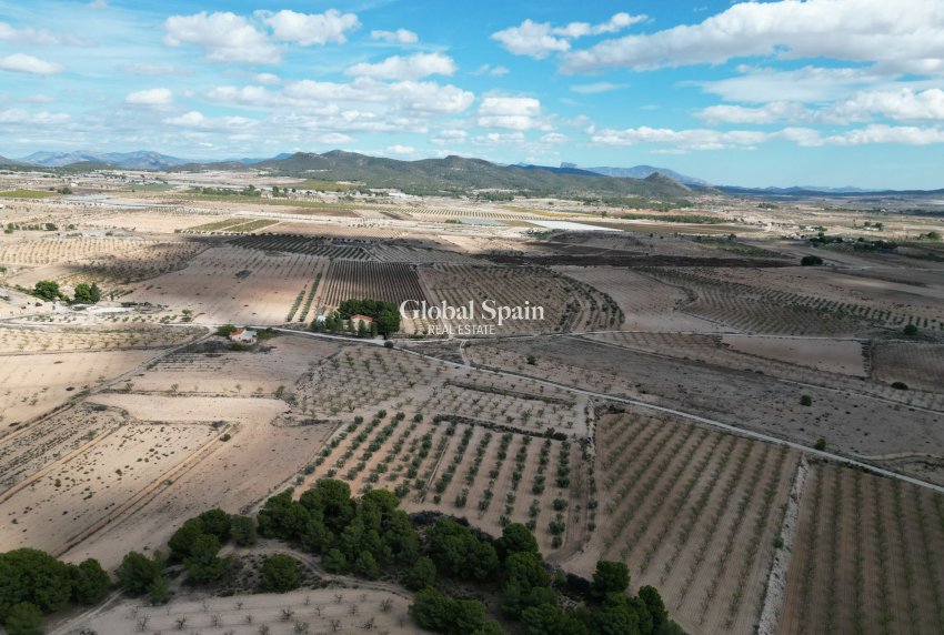 Resale - Grond -
Pinoso