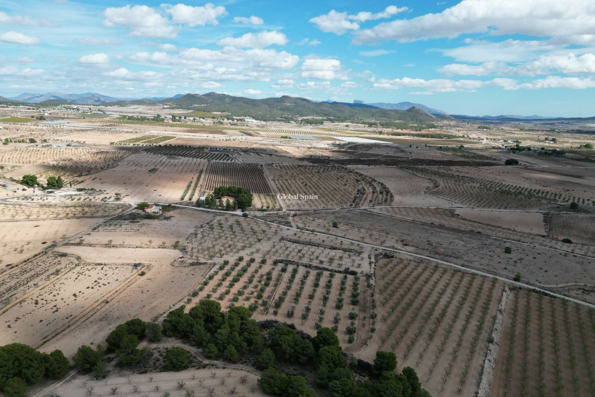 Resale - Grond -
Pinoso