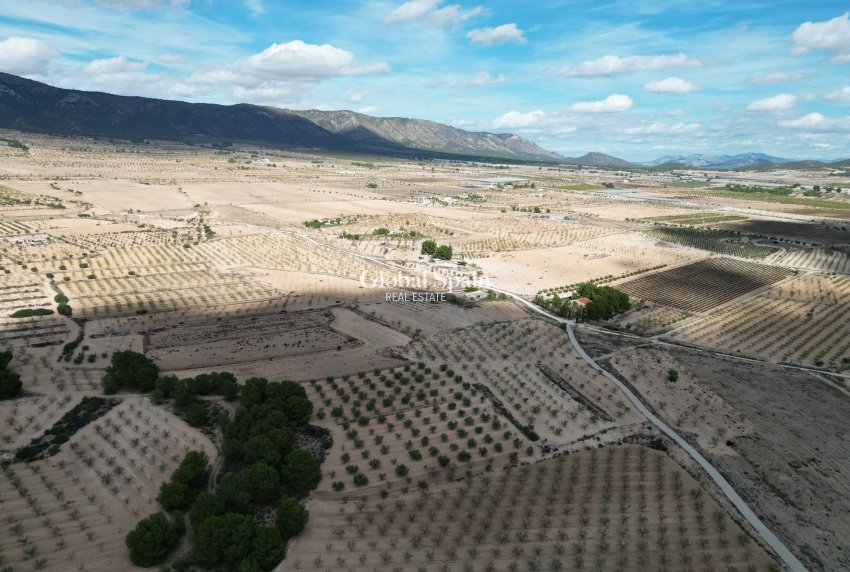 Resale - Grond -
Pinoso