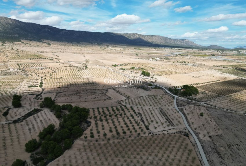 Resale - Grond -
Pinoso