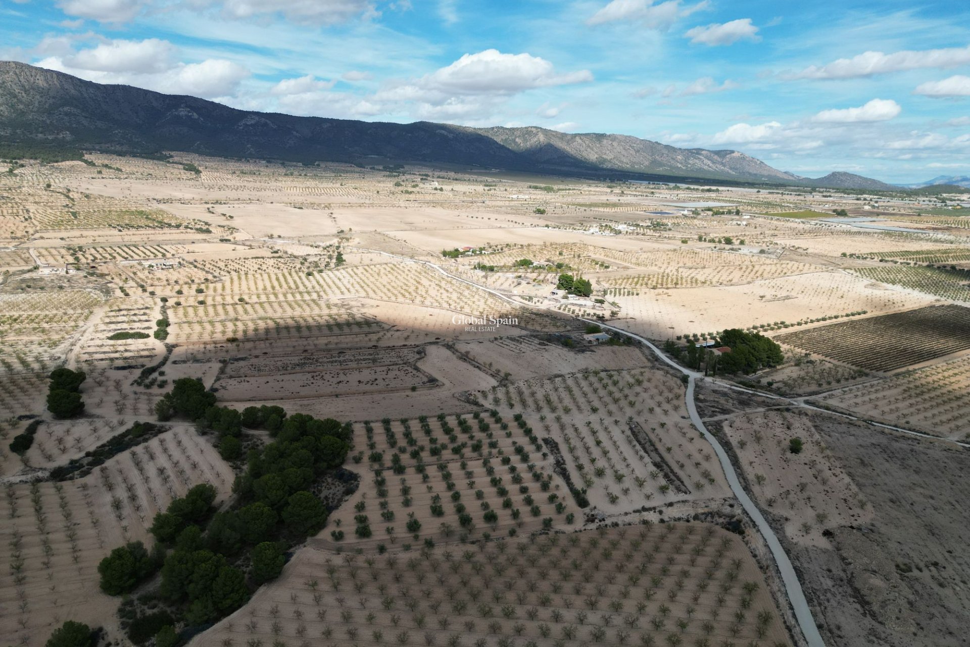 Resale - Grond -
Pinoso