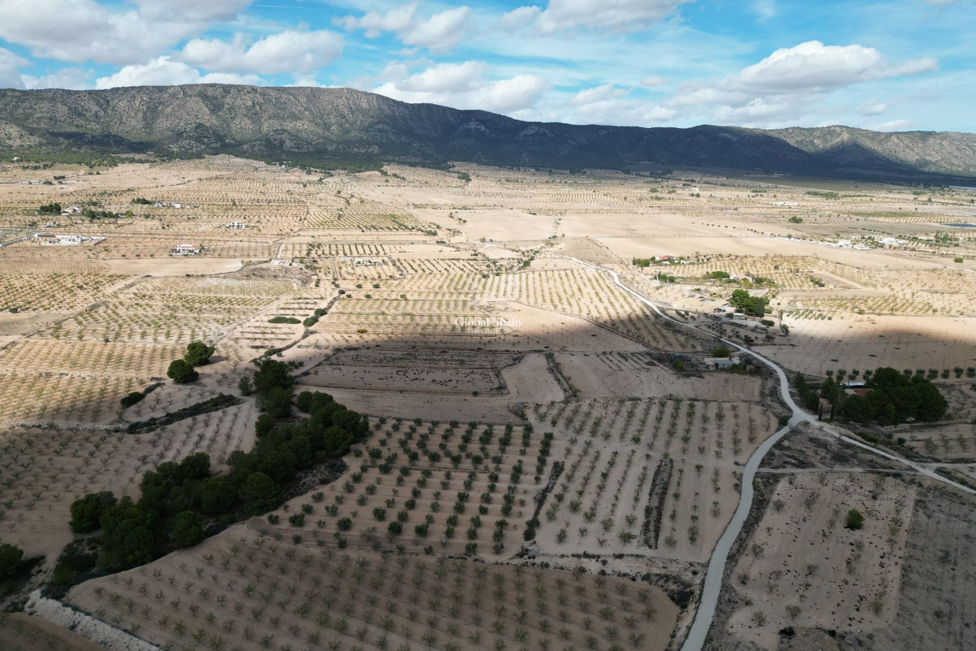 Resale - Grond -
Pinoso