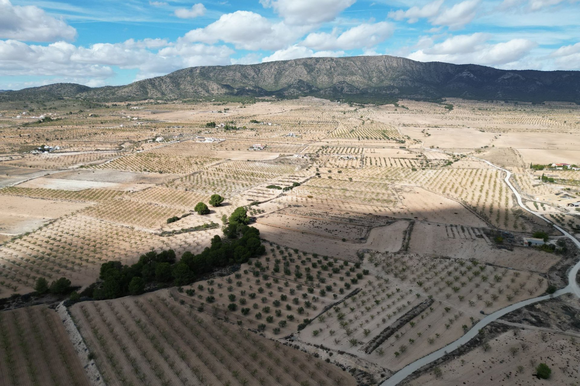 Resale - Grond -
Pinoso