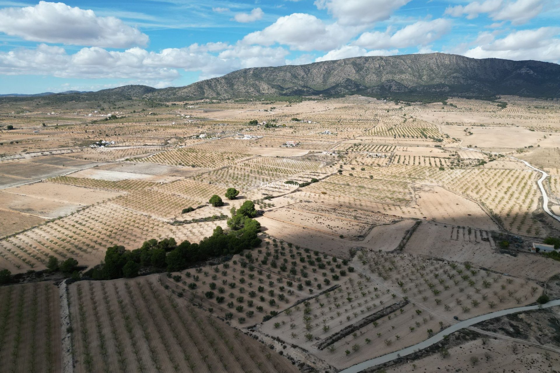 Resale - Grond -
Pinoso