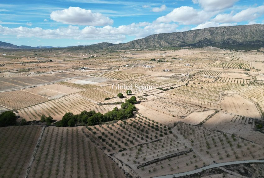 Resale - Grond -
Pinoso