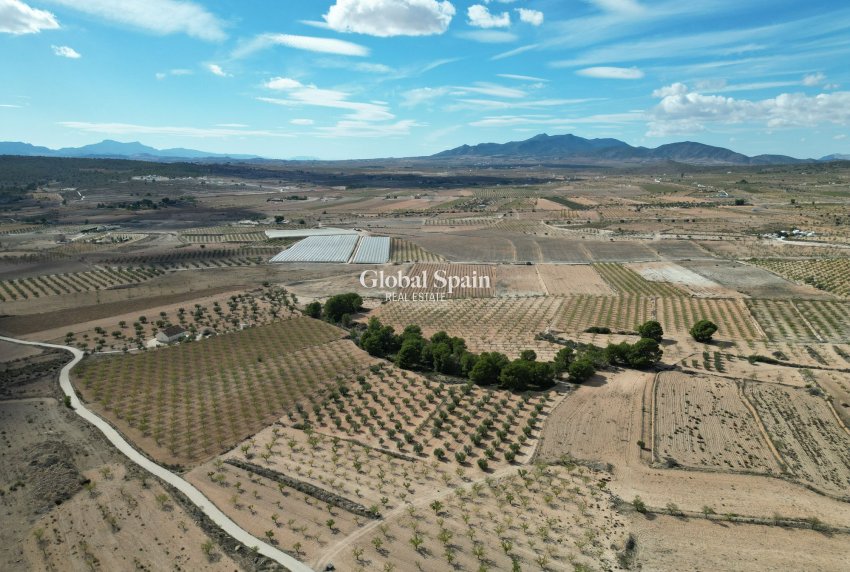 Resale - Grond -
Pinoso