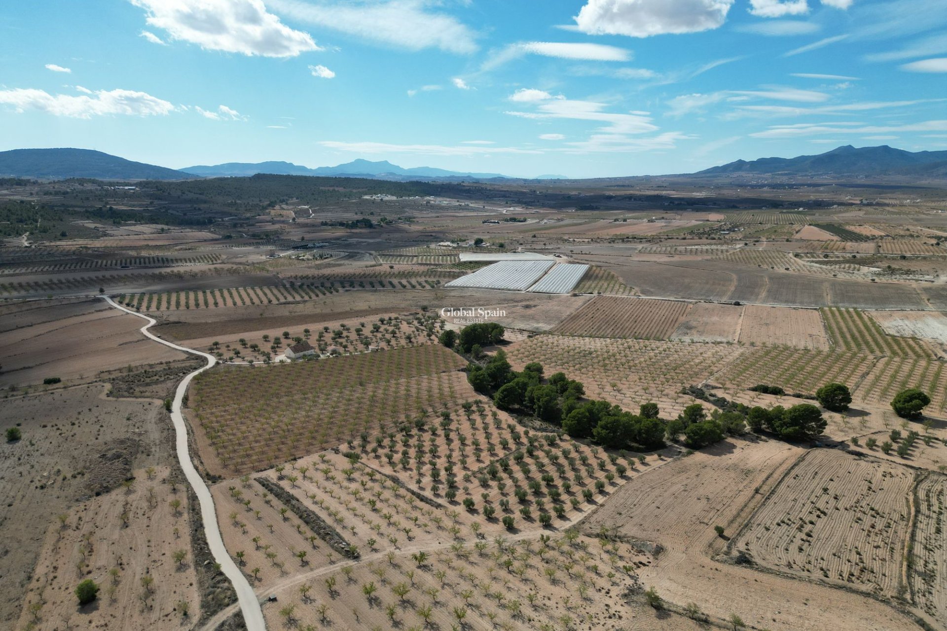 Resale - Grond -
Pinoso