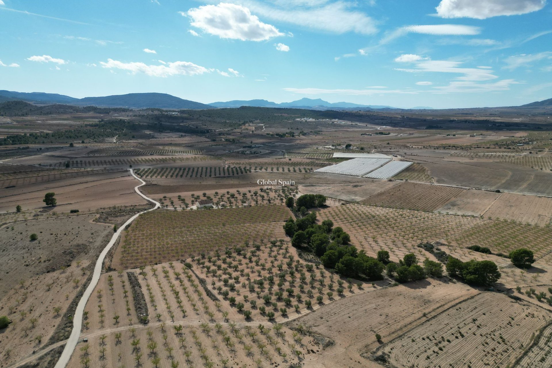 Resale - Grond -
Pinoso