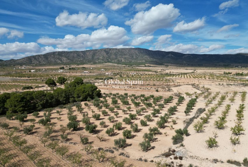 Resale - Grond -
Pinoso