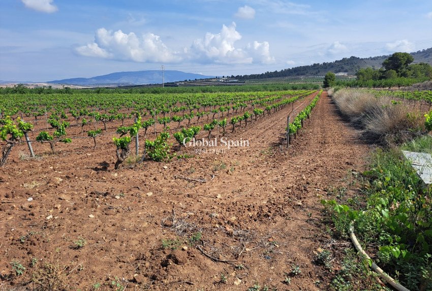 Resale - Grond -
Pinoso