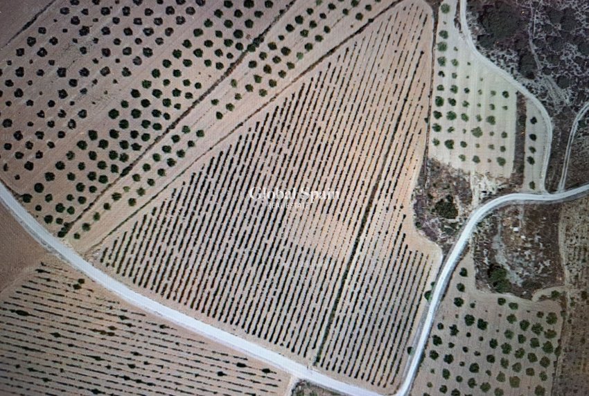 Resale - Grond -
Pinoso