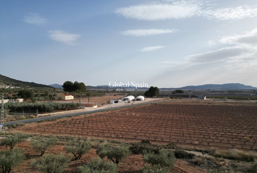 Resale - Grond -
Pinoso